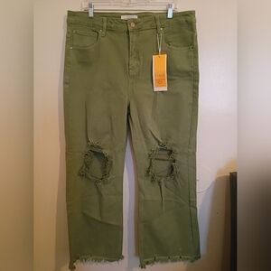 Risen Womens Cropped Green Straight Leg Distressed Jeans Sz 2XL NWT